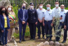 Paola, un ulivo bianco piantato nel giardino della casa circondariale