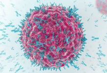 Scalea sarà HUB Vaccinale