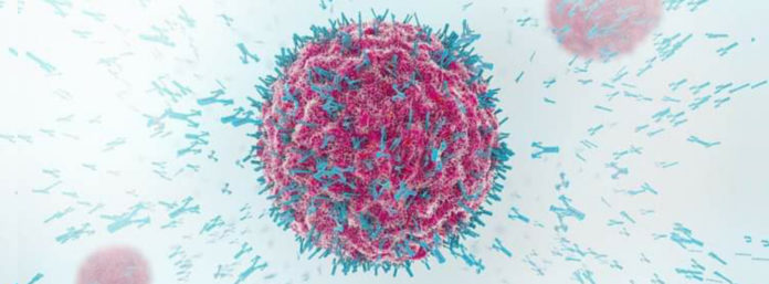 inCollage_20210609_101149767