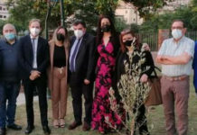 Paola “Piantiamo la legalità”. Olivo Bianco nella villa Comunale