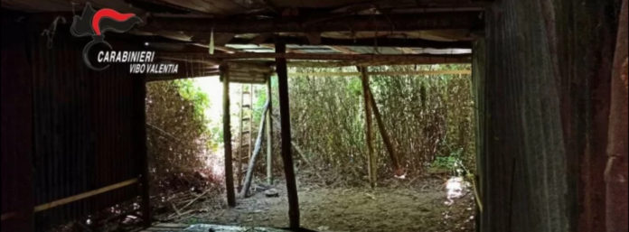 inCollage_20210621_075038541