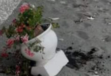 Paola: Lungomare, vandali in azione contro i vasi ornamentali posti sul corrimano