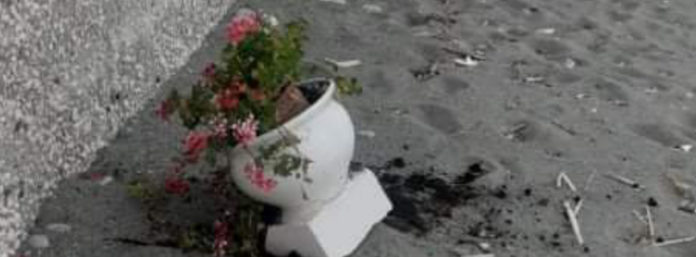 inCollage_20210628_132233986