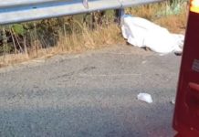 Giovane travolto e ucciso nella notte da un’auto sulla statale 106