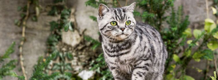 inCollage_20210701_080549413