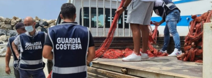 inCollage_20210701_174649870