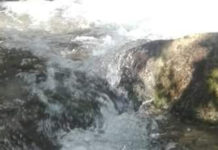 Tortora, l’ecosistema della Fiumarella in pericolo.