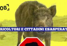 Emergenza Cinghiali, Di Natale ‘Sostengo manifestazione Coldiretti. La Giunta valuti l’unica proposta di Legge”