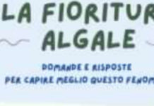 Fioriture Algali: Arpacal chiarisce il fenomeno