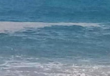 Mare sporco sulla costa Tirrenica “Bisognava pensarci prima”