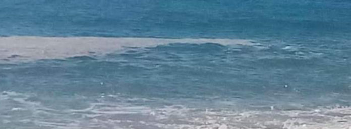 inCollage_20210717_120800100