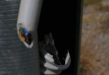 Grisolia, danneggiate le Telecamere di videosorveglianza della Marina