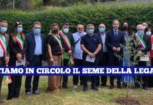 Piantumato nel palmarium del Consiglio Regionale della Calabria un olivo bianco della legalità