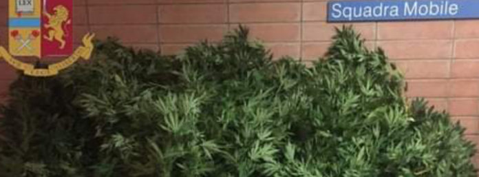 inCollage_20210722_125035015