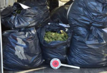 Sequestrato un quintale di Marijuana: Quattro arresti