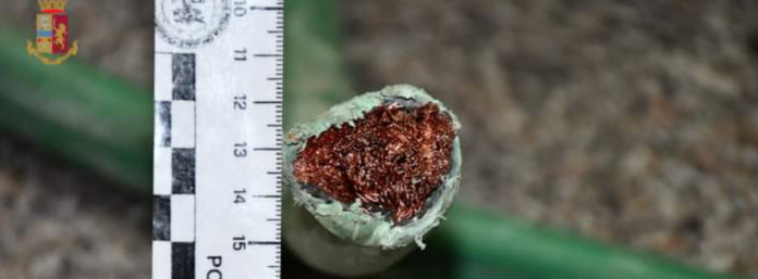 inCollage_20210723_134019390