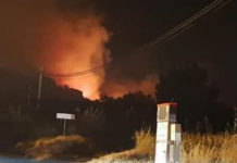 Tortora, incendio in località San Brancato. Nessun danno alle abitazioni
