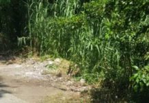 Belvedere Marittimo, raccolta differenziata: Osservazioni e proposte