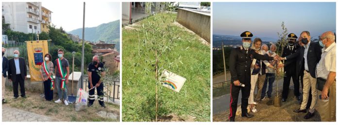 inCollage_20210727_103412326