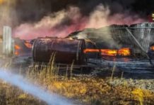 Vasto incendio in azienda del Cosentino