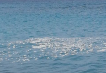 Il “mare da bere” e il calabrese “alto tirrenico” utopico.