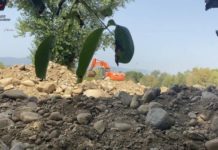 Furto di inerti dal fiume Crati: due arresti