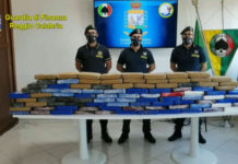 Cocaina nascosta in un container carico di legname: maxi sequestro