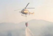 1 Agosto: Ancora emergenza incendi in Calabria