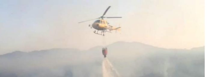 inCollage_20210801_224156083