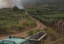 Incendi sul Tirreno Cosentino. Il giorno “Nero” di Maierà