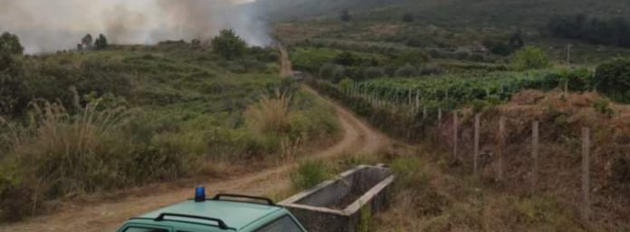 inCollage_20210802_113437273