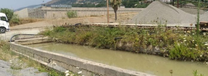 inCollage_20210802_144242328