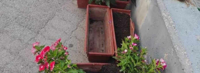 inCollage_20210803_084949319