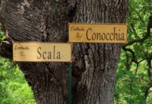 San Pietro in Amantea, l’impegno del consigliere Bruno “Da Volontario abbellisco le contrade del paese”