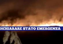 Incendi. Di Natale ‘Immensa amarezza. Accertare responsabilità e punire gli autori. Sostengo la posizione del collega Irto’