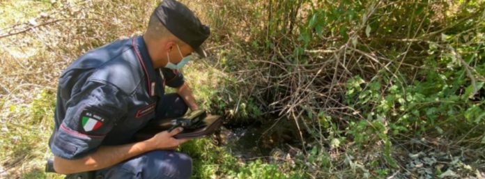 inCollage_20210807_115737595