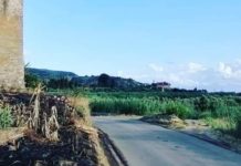 Amantea “Camminata Poetica sulla terra di Temesa”