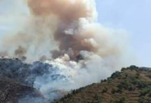 INCENDI TRA MAIERÀ, GRISOLIA E CIRELLA. “INERMI DAVANTI ALLE FIAMME”