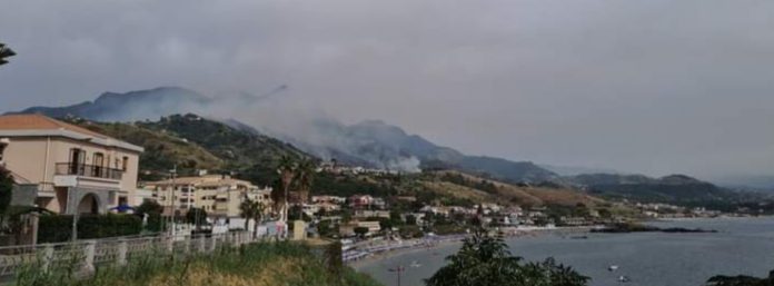 inCollage_20210809_195209218