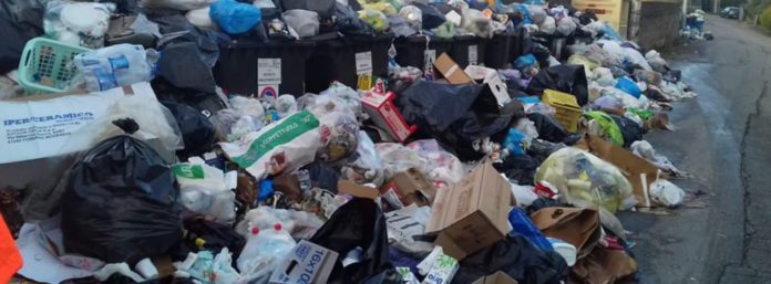 inCollage_20210810_104102328