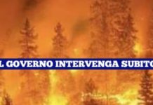 Emergenza Incendi, Di Natale al Ministro Guerini “Il Governo invii Esercito in Calabria”