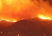 “La Calabria brucia, ma si discute di (pre)apertura della Stagione Venatoria”