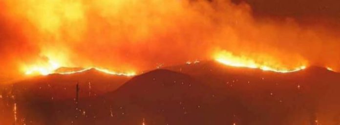 inCollage_20210811_225310782