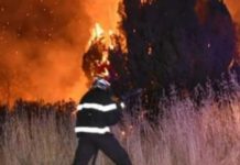 “La Calabria Brucia mentre il centrodestra pensa alle nomine. Manca la Prevenzione”