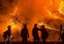Incendi “Basta con la balla della calamità Naturale. Fuori i responsabili”