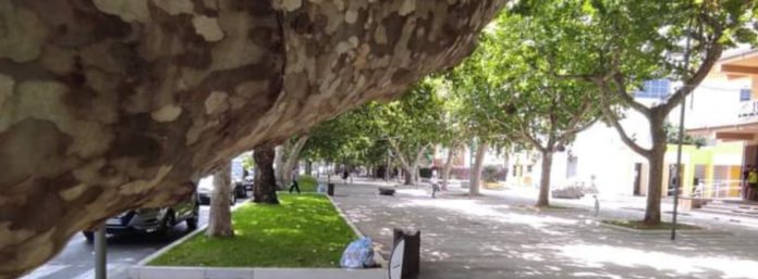 inCollage_20210821_140000093