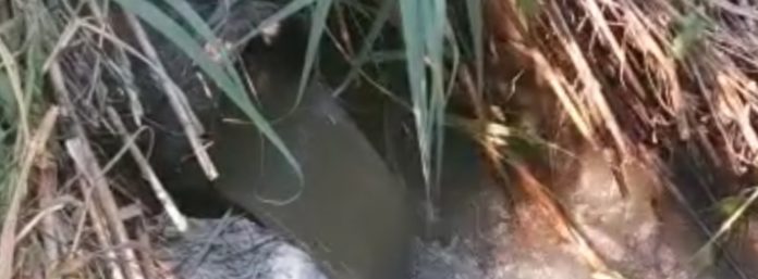 inCollage_20210823_140425144