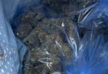 Un chilo di Marijuana in una vettura inteststa a persona deceduta. Blitz della Polizia