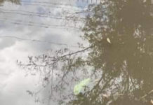 Bonifati, fogna a cielo apero in via Magellano -FOTO-