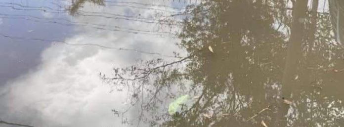 inCollage_20210831_152903305